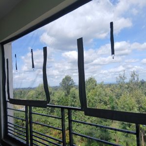 Balcony Covers