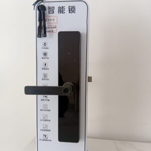 Advanced Model Smart Lock