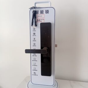 Economy Model Smart Lock