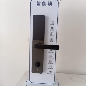 Advanced Model Smart Lock