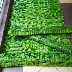 Green Privacy Fence
