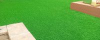 20mm Grass Carpet